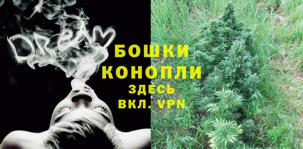 spice Богданович