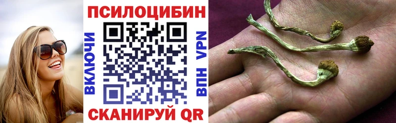 дарк нет наркотические препараты  Голицыно  Галлюциногенные грибы мухоморы 